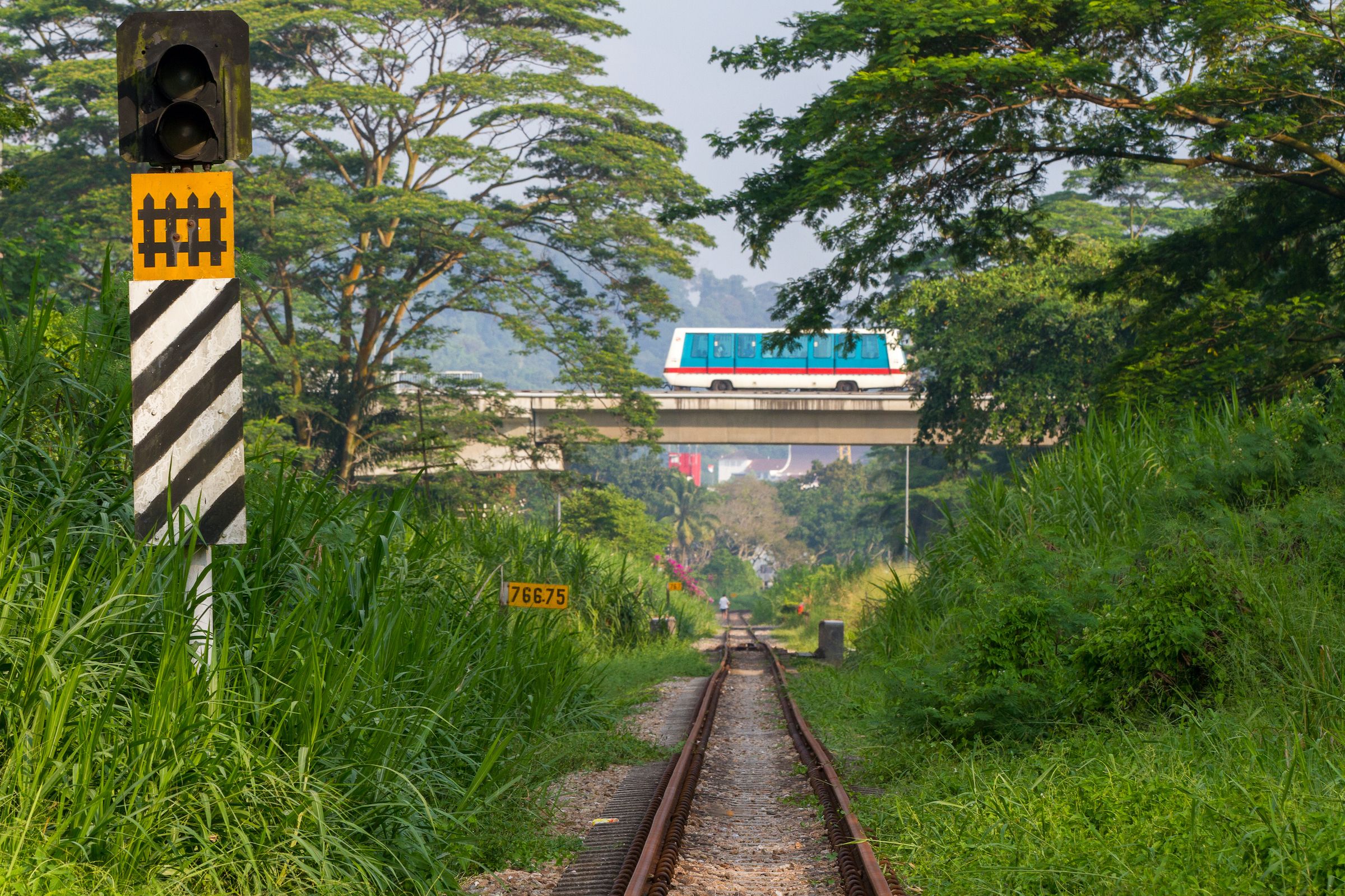 A City In Nature Or A City Without Nature The Uncertain Fate Of Singapore S Last Forests