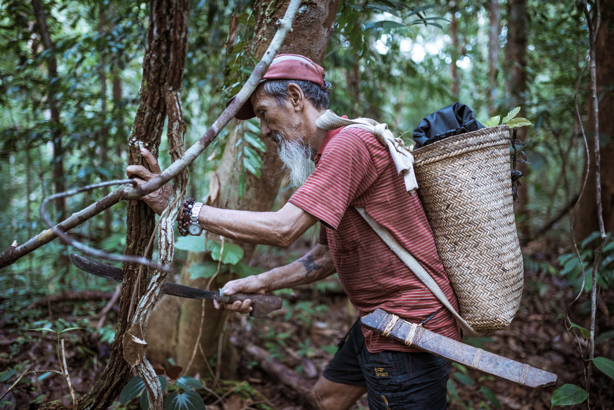 After a 40-year struggle, indigenous guardians of Indonesian forest ...
